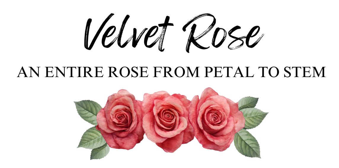 Velvet Rose